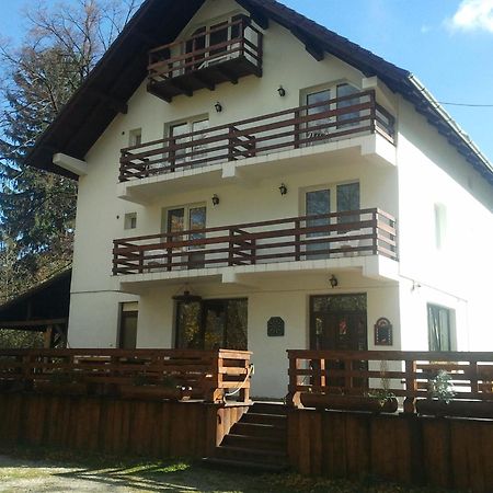 Casa Brandusa Törcsvár Kültér fotó